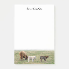 Nachhinweise für die Mutterkuh Post-it Klebezettel