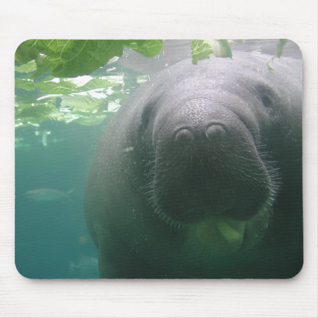 Nachlässiges Manatis mousepad (Vorne)