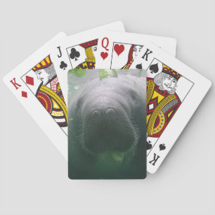Nachlässiges Manatis-Spielkarten Spielkarten