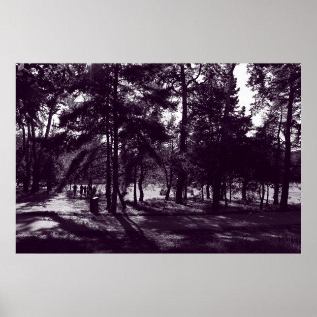 Nachmittag im Park (Lila gesungen) Poster (Vorne)