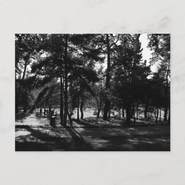 Nachmittag im Park Postkarte (Vorderseite)