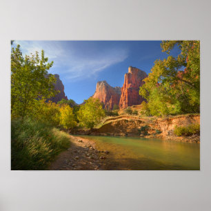 Nachmittag im Zion Nationalpark Poster
