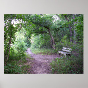 Nachmittagshade im Wald Poster