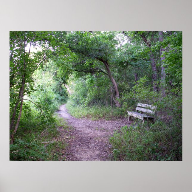 Nachmittagshade im Wald Poster (Vorne)