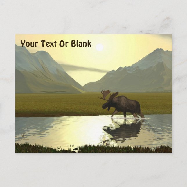 Nachmittagsmoose Postkarte (Vorderseite)