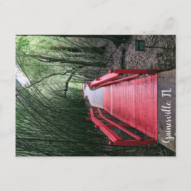 Nachmittagswanderung Postkarte (Vorderseite)