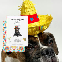 Nacho Ihr durchschnittlicher Hund Sombrero Einladu