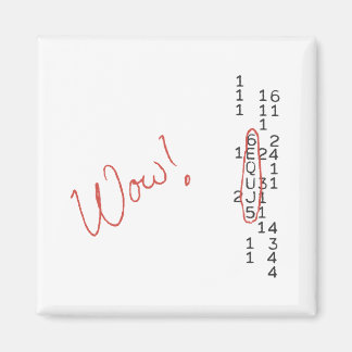 Nachricht "Wow Signal SETI" Magnet