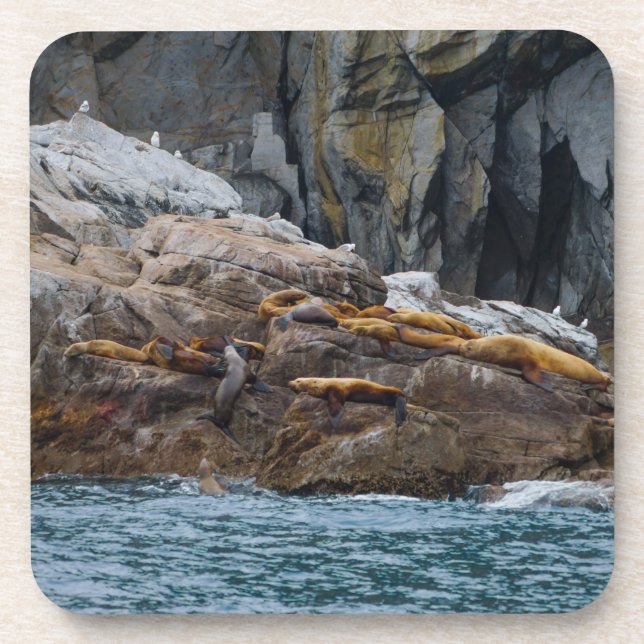 Nächste Zeile Untersetzer (Vorderseite)