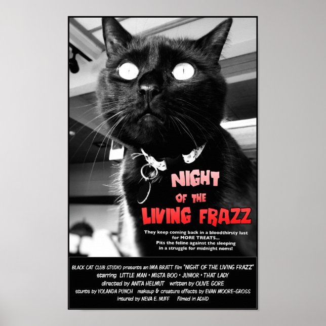 Nacht des Lebenden Frazz! Cat Horror Movie Poster (Vorne)