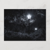 Nacht im Central Park, NYC