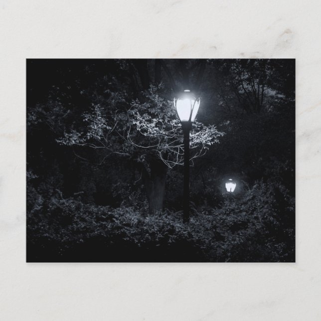 Nacht im Central Park, NYC Postkarte (Vorderseite)