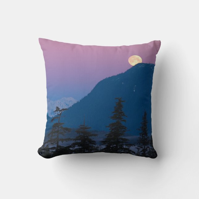 Nacht in Alaska Kissen (Vorderseite)