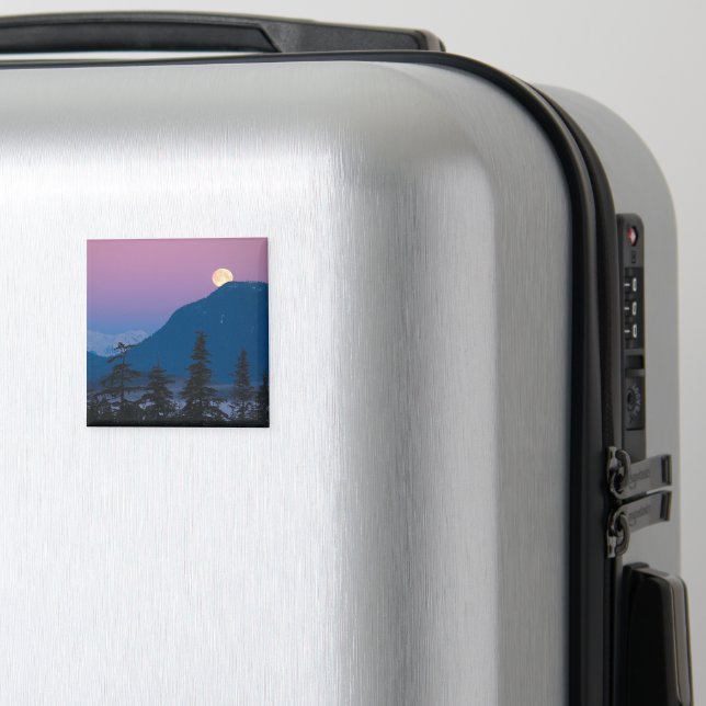Nacht in Alaska Magnet (In Situ (Gepäck))