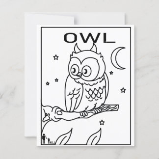 NACHT OWL