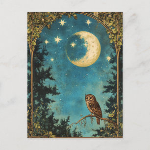 NACHT OWL VOLLSTÄNDIG MOND UND STARRY NACHT FEIERTAGSPOSTKARTE