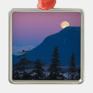 Nachtanbruch in Alaska Silbernes Ornament