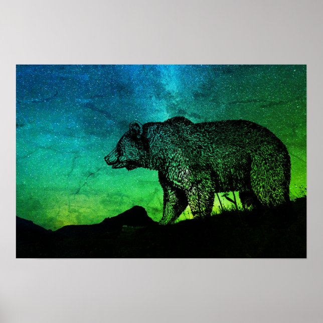Nachtbär und Aurora Borealis Poster (Vorne)