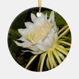 Nachtblühensäulenkaktus-Blumenverzierung Keramikornament