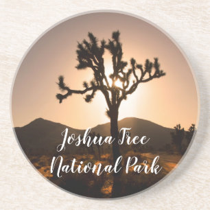 Nachtfall beginnt bei Joshua Tree Getränkeuntersetzer