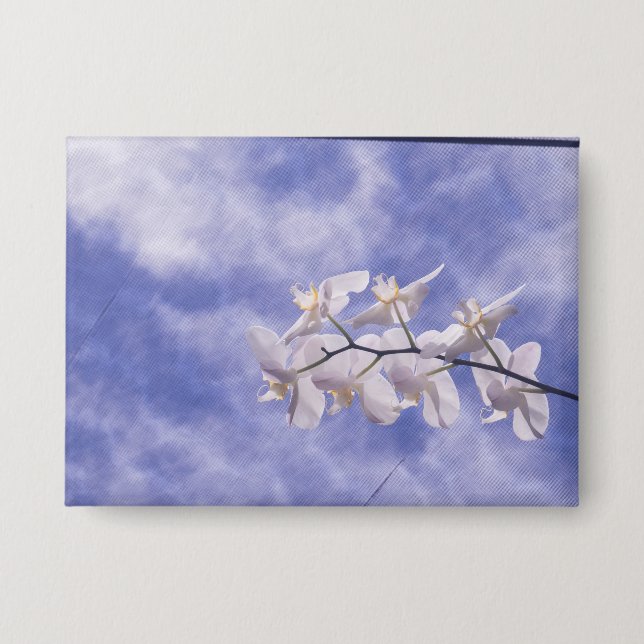 Nachtfalter-Orchidee Button (Vorderseite)