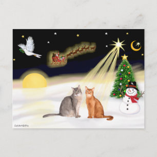 Nachtflug - Zwei Abessinierkatzen Postkarte