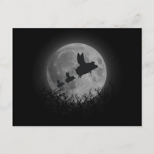 Nachtflugfamilie Postkarte (Vorderseite)