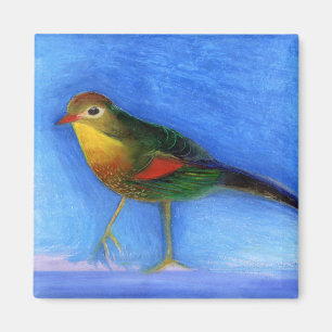 Nachtigall Light 2012 Magnet