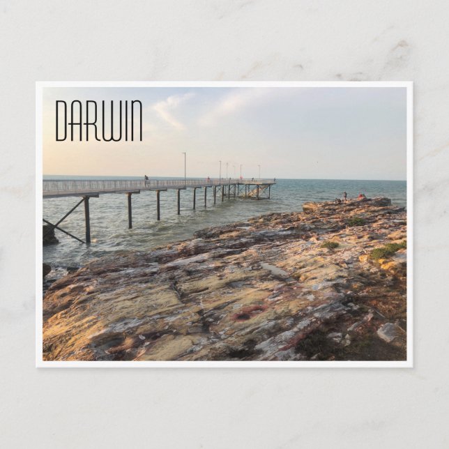 Nachtklippe Darwin Postkarte (Vorderseite)