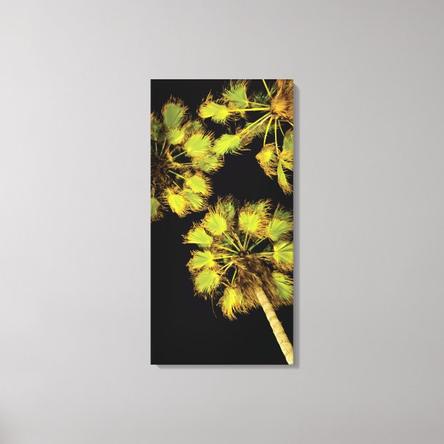 Nachtpalme, 16x32 Zoll Leinwanddruck (Vorderseite)
