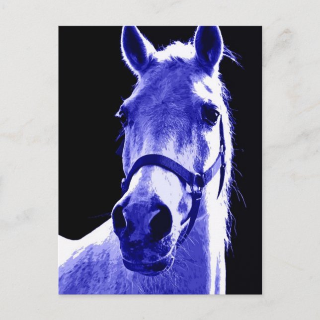 Nachtpferd Postkarte (Vorderseite)