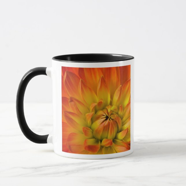 Nachträgliche Fotografien der Dalhia-Blume mit der Tasse (Links)