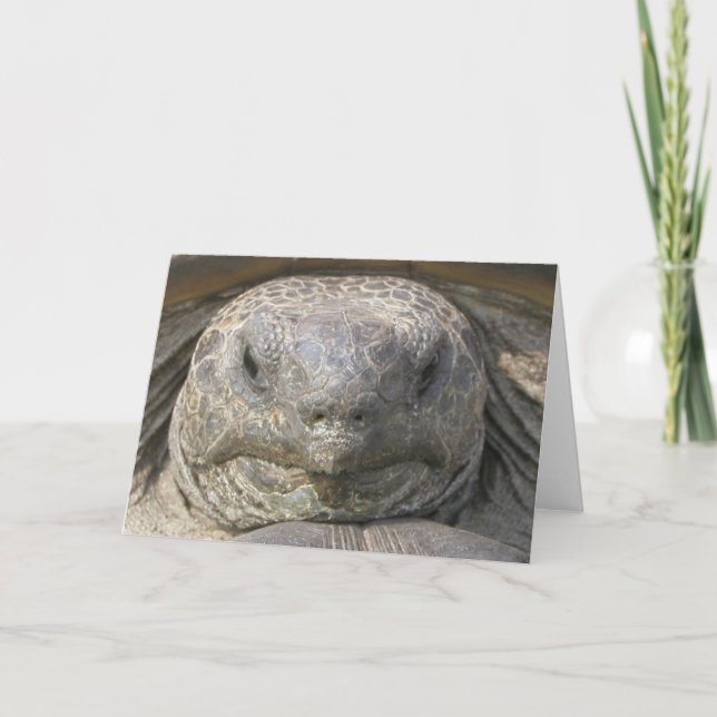 Nachträglicher Geburtstag Karte (Vorderseite)