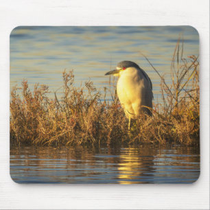 Nachtreiher-Mauspad Goldene Marsch-Ufervogel-Kun Mousepad
