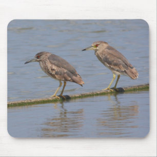 Nachtreiher Mousepad