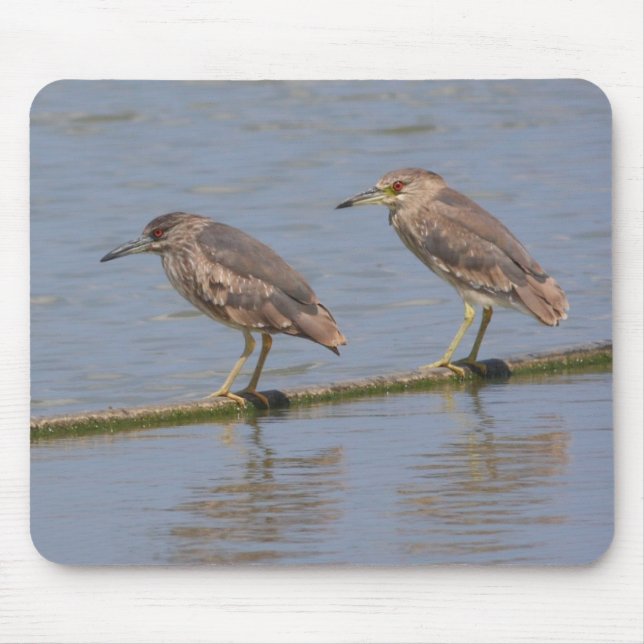 Nachtreiher Mousepad (Vorne)