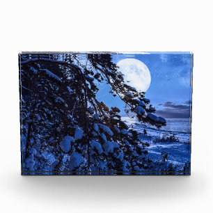 Nachts über schneebedeckten Tannenbaum und Meeresk Fotoblock