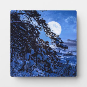 Nachts über schneebedeckten Tannenbaum und Meeresk Fotoplatte
