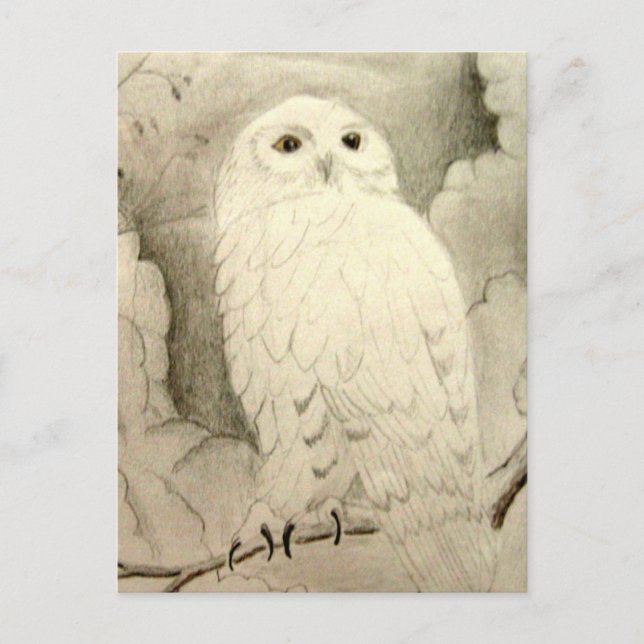 Nachtschale Postkarte (Vorderseite)
