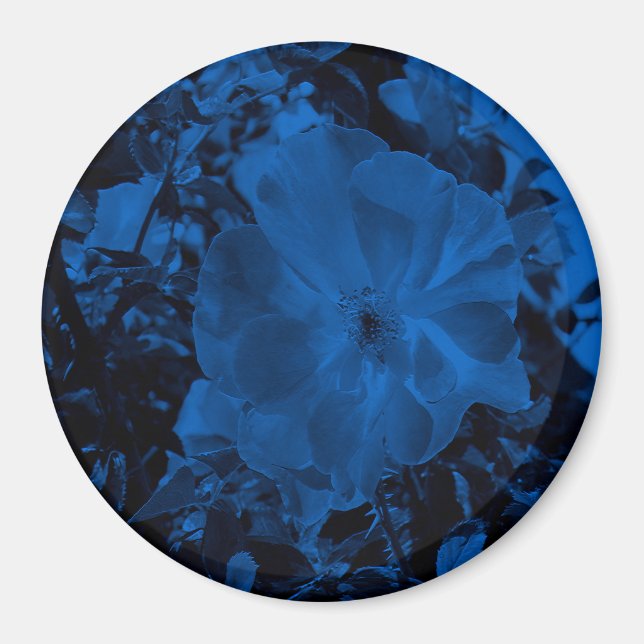 Nachtschwärmer.... Magnet (Vorne)