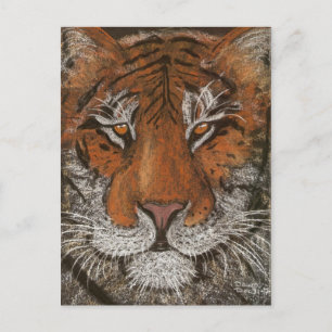 Nachttiger Postkarte