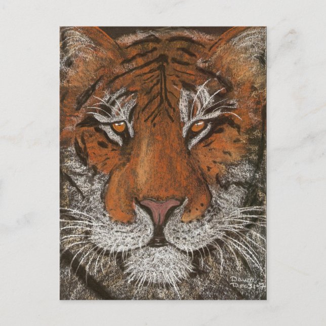 Nachttiger Postkarte (Vorderseite)