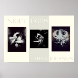 Nachttische Tigers Poster (22,5 Zoll x 15 Zoll)