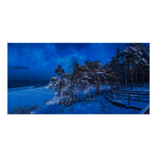 Nachtwinterszene mit schneebedeckten Kiefern Poster