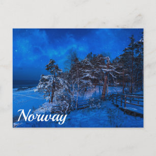 Nachtwinterszene mit schneebedeckten Pinienbäumen Postkarte