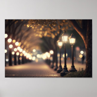 Nachtzeit im Park mit Bokeh-Beleuchtung Poster
