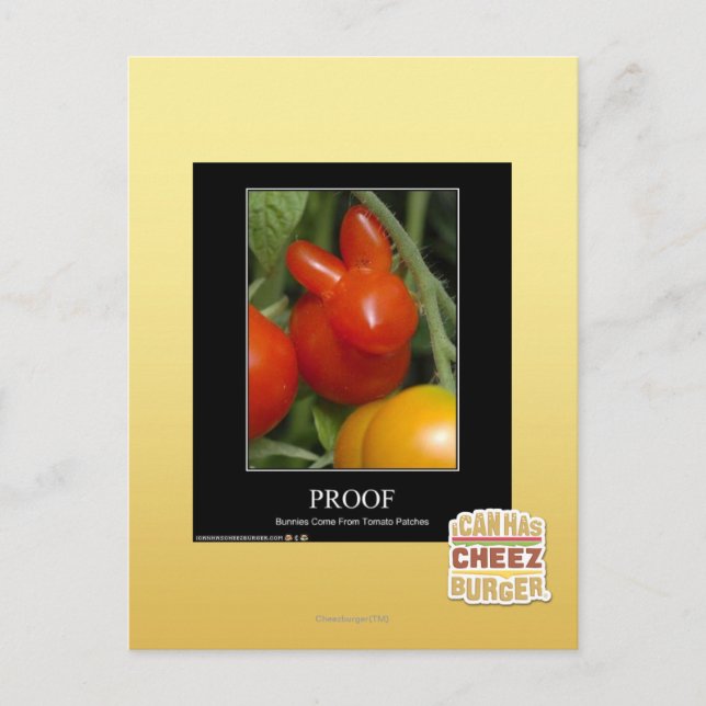 Nachweis Postkarte (Vorderseite)