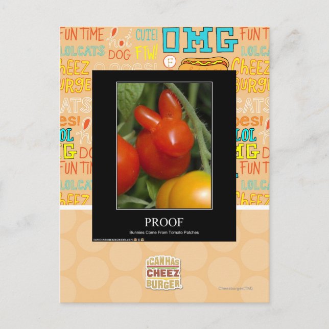 Nachweis Postkarte (Vorderseite)