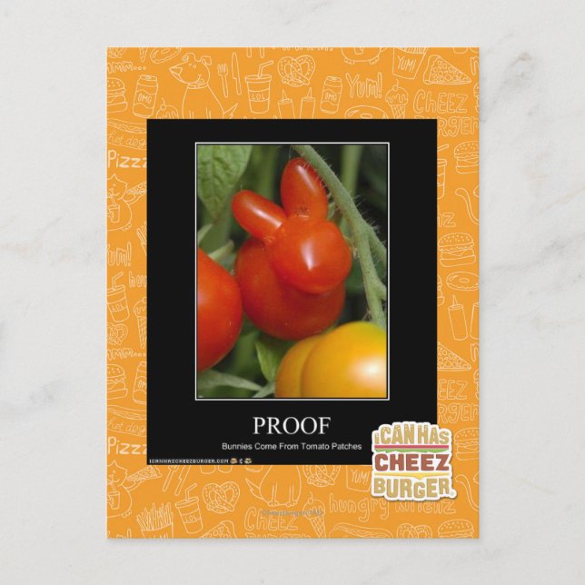 Nachweis Postkarte (Vorderseite)