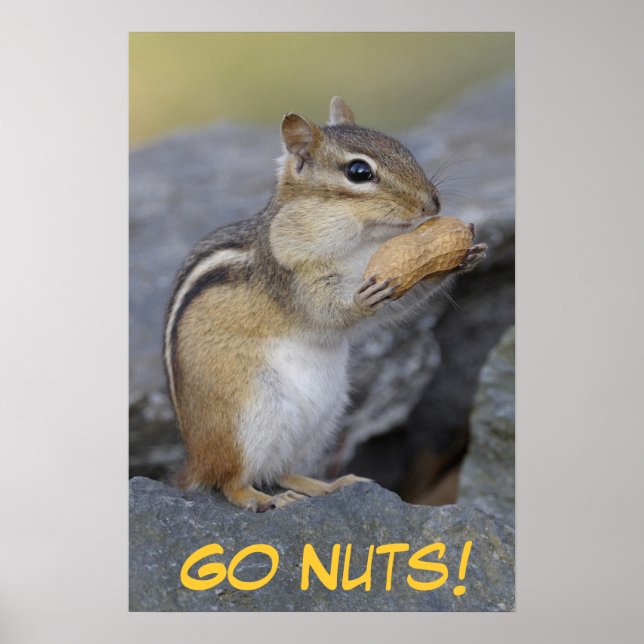 Nackt! Poster (Vorne)
